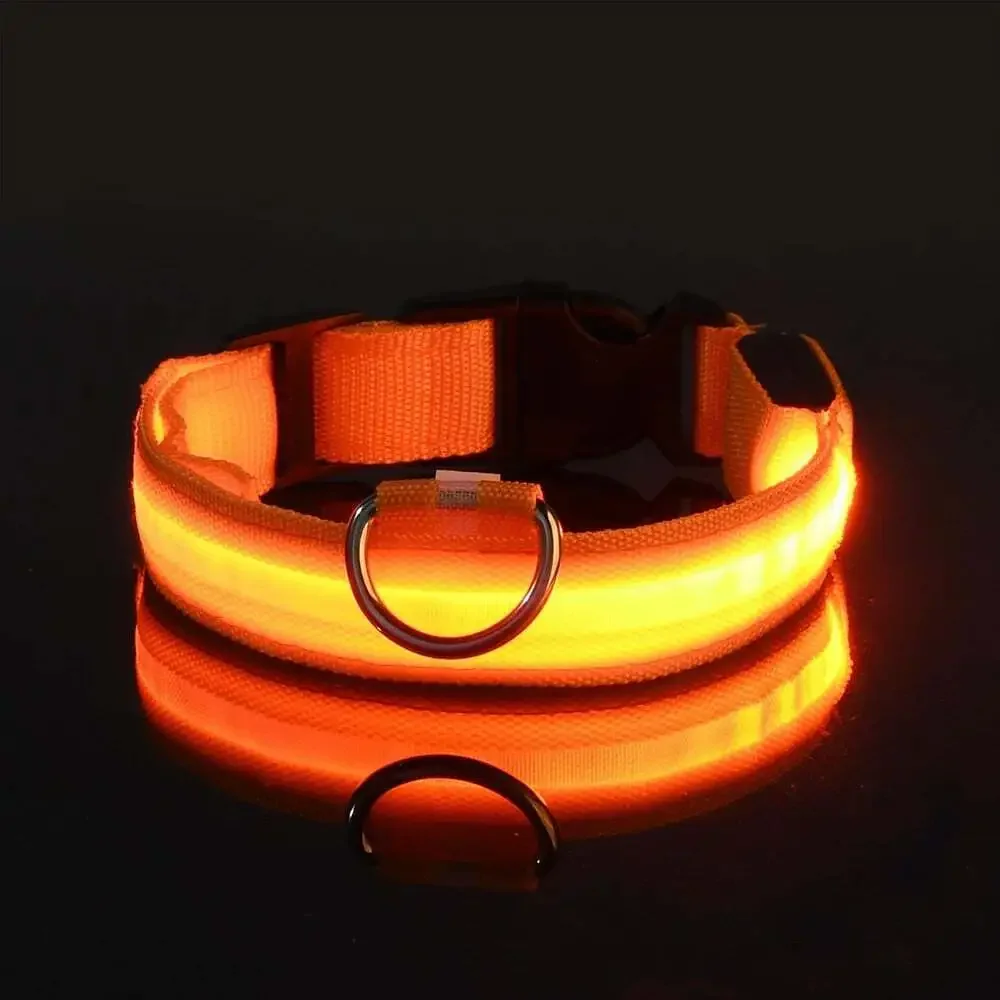 Nylon LED Night Safety Flashing Glow in the Dark Dog Leash Dogs Luminous Fluores